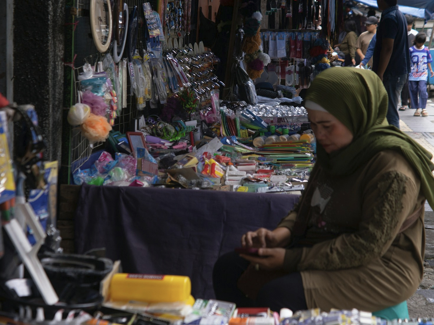 Exploring the Diversity of OCOP Products in Hanoi
