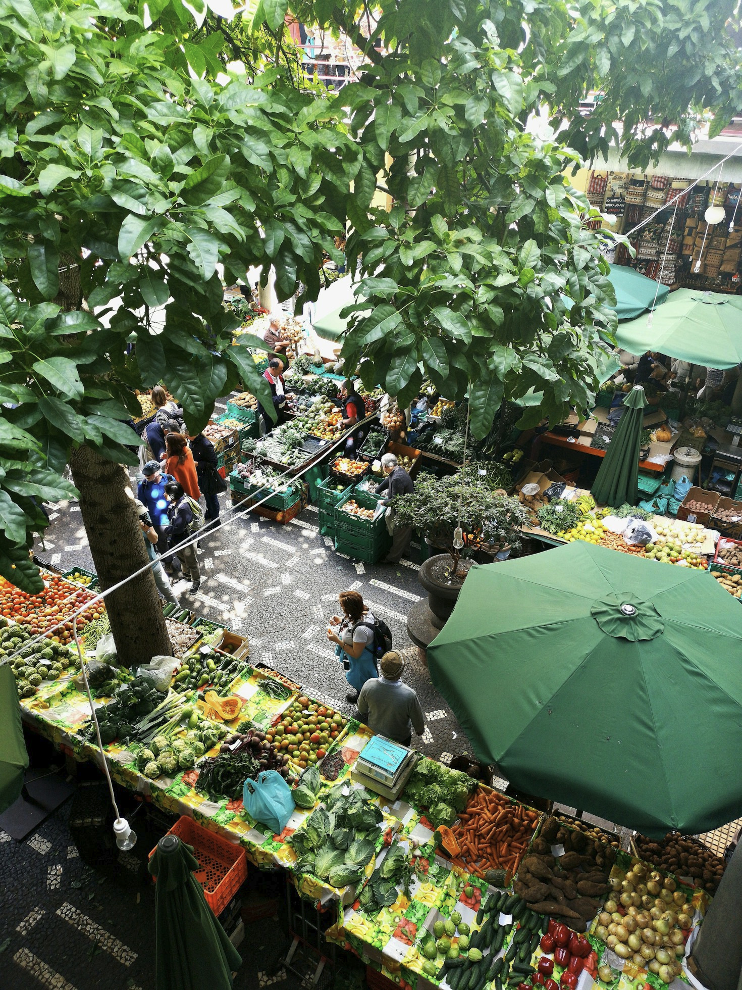 Hanoi’s OCOP Program: A Model for Local Development